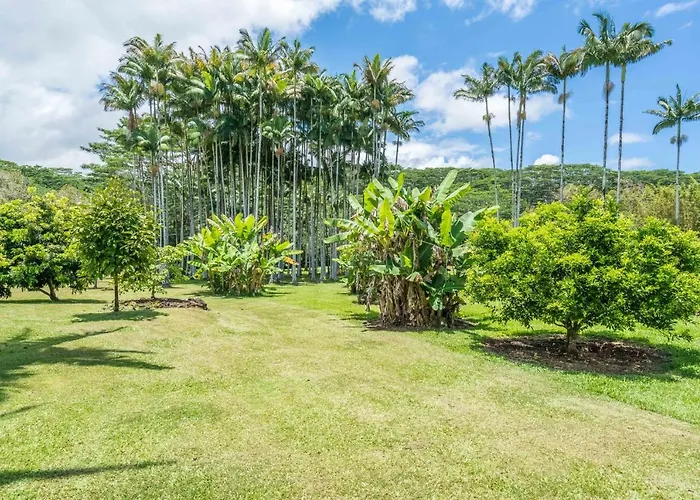 Old Hawaiian Bed And Breakfast