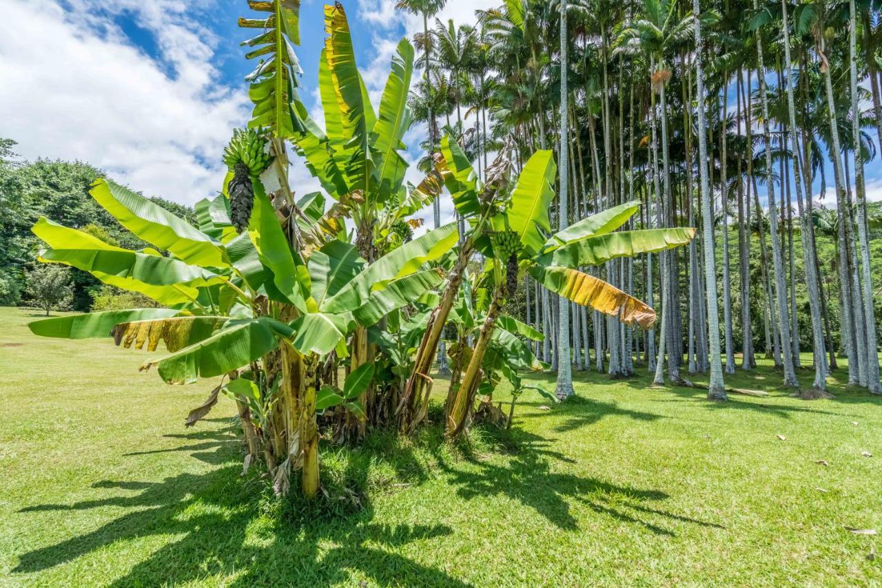 Bed and breakfast Old Hawaiian Hilo